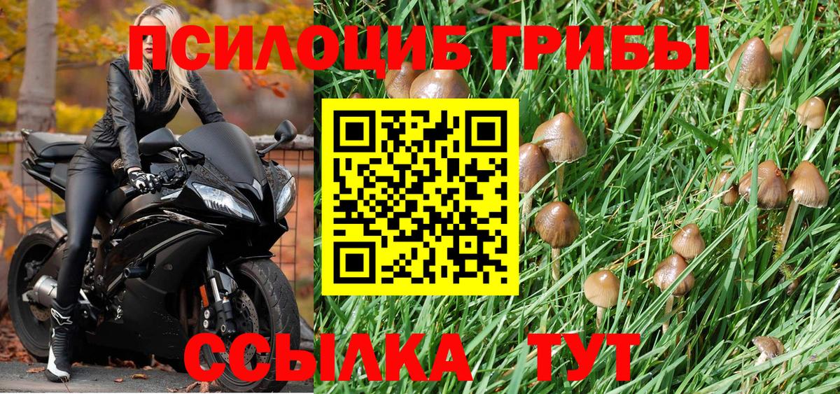 Ачинск  Галлюциногенные грибы прущие грибы  Вход с VPN 